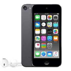 Apple 190341968333 Ipod Touch 16gb Gray 6 Gen Used Grade B