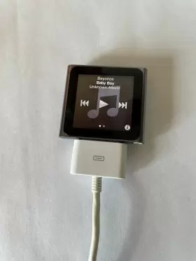 Apple 885909391899 Ipod Nano 6th Generation Silver 16 Gb