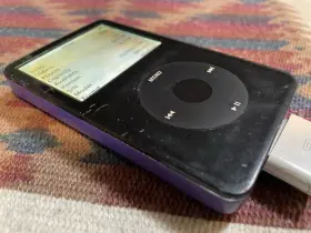 60gig Apple Ipod For Parts Only As Is