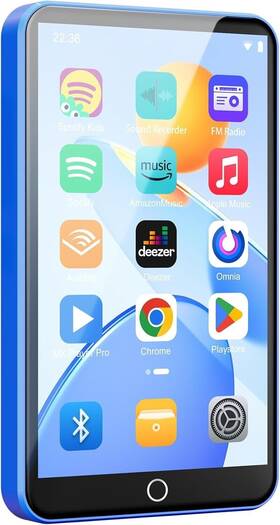 Fanvace 313113485498 80gb Mp3 Player With Bluetooth And Wifi Android Mp4 Players 4 Inch Touch