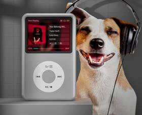 Innioasis 697478145465 Y1 2.4ftft Mp3 Player With Bluetooth Silver
