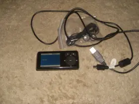 Ns-dv4g Insignia Ds-dv4g Mp 3 Player - 4 Gigabyte Holds Up To 500 Songs