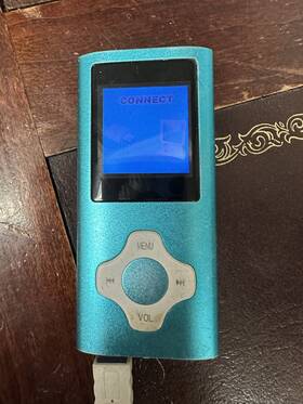Mp4 275393460001 This Item Is A Portable Digital Media Player An Mp3 Or