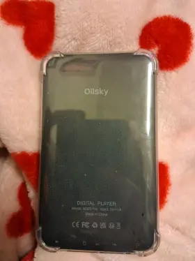 M603 Olisky Digital Music Player Model 1a Input