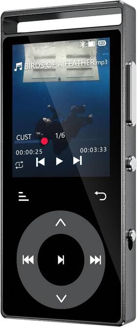 Playerpure 707630835650 90gb Mp3 Player With Bluetooth 5.3 Usb Type C Port Built-in Touch Buttons