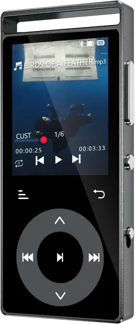 Playerpure 707630835650 90gb Mp3 Player With Bluetooth 5.3 Usb Type C Port Built-in Touch Buttons