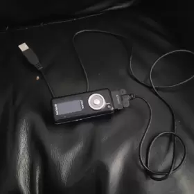 C140 Sandisk Clip 4gb Used Sansa 1gb Fm/mp3/voice/photo Player