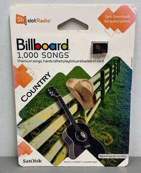 Sandisk Sdsr-11350-a57 Sr Slot Radio Card Billboard 1 000 Songs Country And Oldies