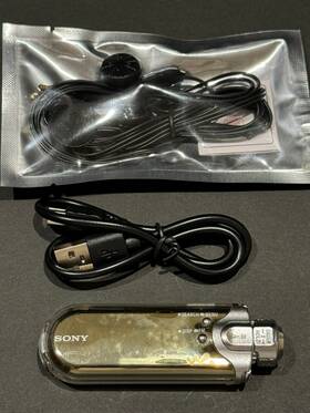 Sony #3000439 Silver / Gold Network Walkman Nw-e505 512mb Digital Music Mp3 Player