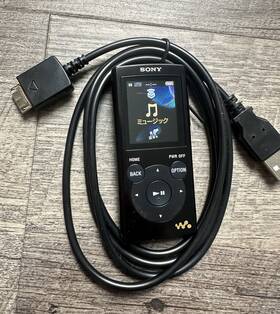 Sony Nw-e062 Walkman Digital Media Mp3 Player 2gb Japanese Model Black