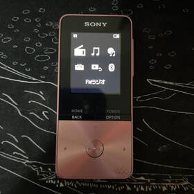 Sony Nw-s313 Walkman Portable Audio Player Series 4gb Light Pink Japan