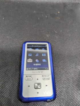 Nw-s615f Sony 2gb Blue Walkman Digital Media Player Mp3 Memory - Tested