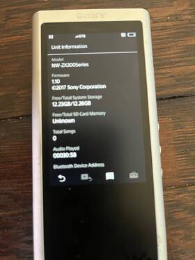 Sony Nw-zx300a