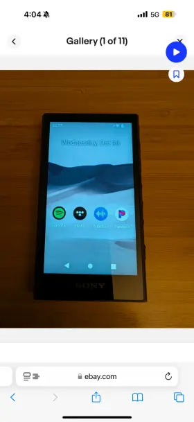 Nw-a306 Sony Nwa306 32gb Walkman. Hi Res Portable Digital Music Player - Black
