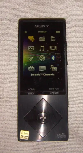 Nwz-a15 Sony Walkman 16gb Digital Media Mp3 Player With Bluetooth. Works Great