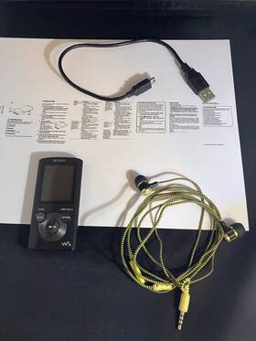 Sony Nwz-e304 Walkman 8gb Mp3 Digital Media Player Black Tested Works