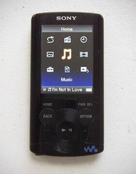 Sony Nwz-e363 Walkman 4gb Digital Media Mp3 Player. Works Bad Hold Switch