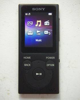 Sony Nwz-e394 Walkman 8gb Digital Media Mp3 Player Black. Works Great