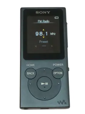 Nwz-e395 Sony Digital Walkman 16gb Music Player/fm Radio Reset Works Great