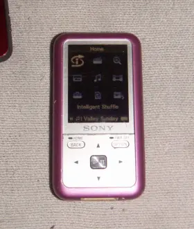 Nwz-s615 Sony Walkman 2gb Digital Media Mp3 Player Pink. Works Great