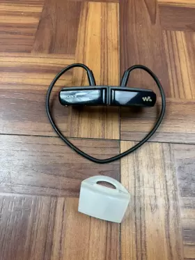 Nwz-w252blk Sony Walkman Nwz-w252 Black 2 Gb Digital Media Mp3 Player