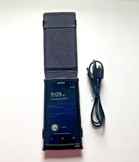 Nwz-z1000 Sony Walkman Series 12gb Blue Mp3 Player