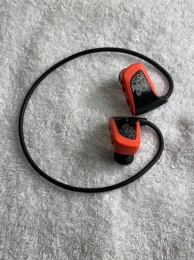 Nwzw262meb Sony Walkman Nwz-w262 Black/orange 2 Gb Digital Media Player