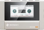 Snowsky/fiio Echo Mini Hifi Bluetooth MP3 Player W/3.5&4.4MM Out(titanium Gold) Open. Price: $59.90.