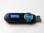 Sony Nwz - B152F 2GB MP3 Player. It Still Works. Used. Price: $39.50.