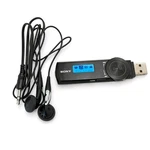 Sony Walkman NWZ-B172F 2GB MP3 Player Fm Radio Usb Tested & Working Used. Price: $48.95.
