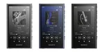 Sony Walkman NW-A306 NW-A307 Series Memory Type Black Blue Gray Music New. Price: $385.00.