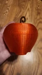 Apple Container Holder Storage Teacher Appreciation Gift Jewelry 3D Print Read New. Price: $9.99.