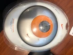 Phillips Nike Sport ACT400/17 Portable Audio MP3-CD Player Factory Sealed New. Price: $300.00.