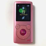 Sony Series NW-E053 Walkman Digital Audio Player 4GB Tested & Working Used. Price: $41.00.