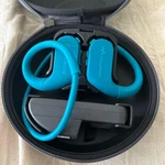 Sony Walkman NW-WS623 Waterproof Bluetooth MP3 Player 4GB Tested Working Used. Price: $239.90.