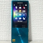 Sony NW-A25 Walkman 16GB Digital Audio Player Japan Working Used. Price: $115.64.