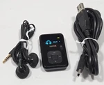 Sandisk Sansa Clip+ 4GB Black MP3 Player Fm Radio Microsd Slot Usb 2.0 Used. Price: $41.50.