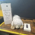 Tower Of Light Wildlife Bible Storyteller With The For Children Collection Brand. Price: $30.00.