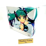 Sony NW-S310K Series NW-S315 Hatsune Miku Model Walkman From Japan Used. Price: $429.80.